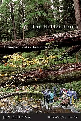 The Hidden Forest cover