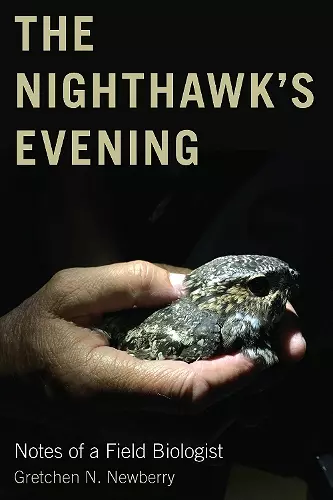 The Nighthawk's Evening cover