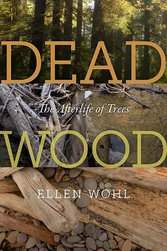 Dead Wood cover