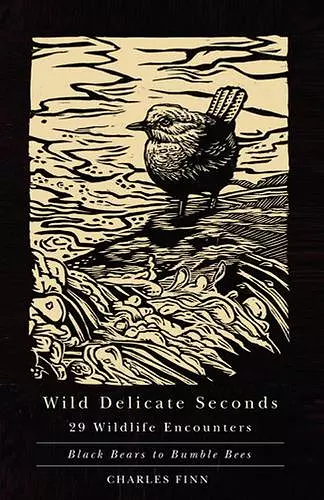 Wild Delicate Seconds cover