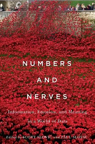 Numbers and Nerves cover