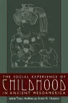 The Social Experience of Childhood in Ancient Mesoamerica cover