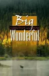 Big Wonderful cover