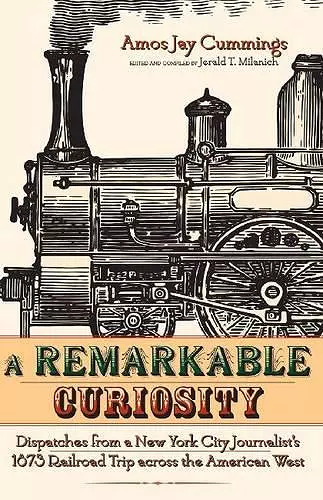 A Remarkable Curiosity cover