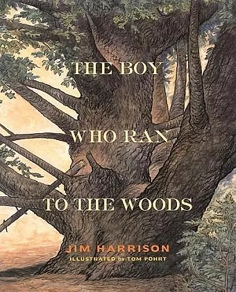 The Boy Who Ran to the Woods cover