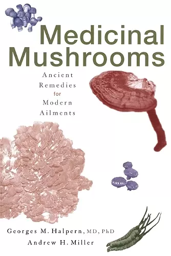 Medicinal Mushrooms cover