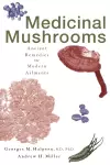 Medicinal Mushrooms cover