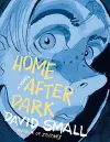 Home After Dark cover