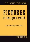 Pictures of the Gone World cover