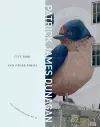 City Bird and Other Poems cover