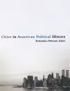 Cities in American Political History cover