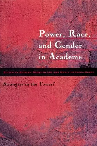 Power, Race, and Gender in Academe cover