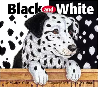 Black and White cover