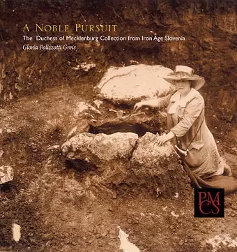 A Noble Pursuit cover