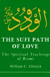 The Sufi Path of Love cover