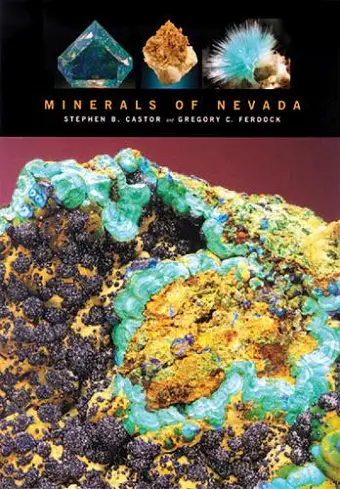 Minerals Of Nevada cover