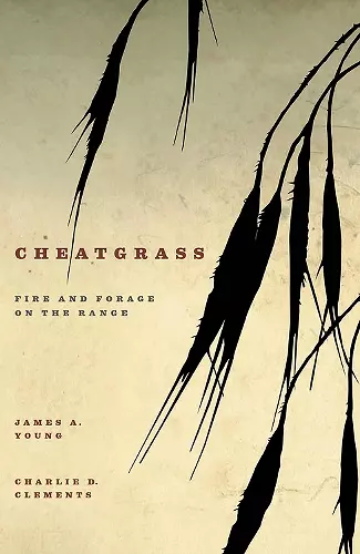 Cheatgrass cover