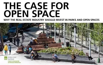 The Case for Open Space cover