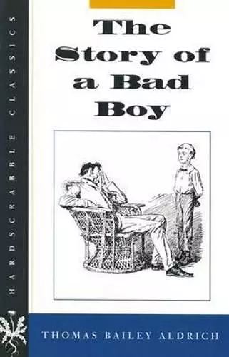 The Story of a Bad Boy cover