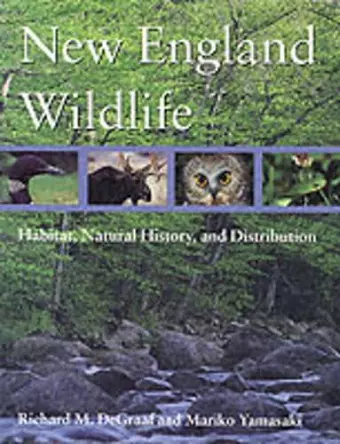 New England Wildlife cover