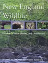 New England Wildlife cover