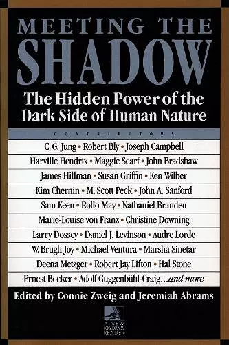 Meeting the Shadow cover