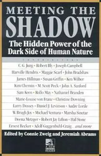 Meeting the Shadow cover