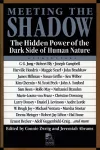 Meeting the Shadow cover