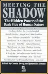 Meeting the Shadow cover