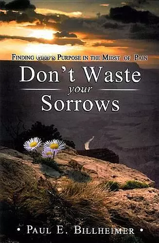 Don't Waste Your Sorrows cover