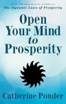Open Your Mind to Prosperity cover