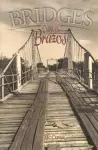 Bridges Over the Brazos cover