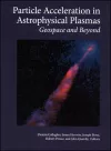Particle Acceleration in Astrophysical Plasmas cover