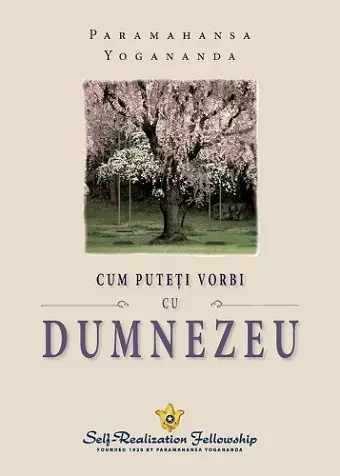 How You Can Talk With God (Romanian) cover