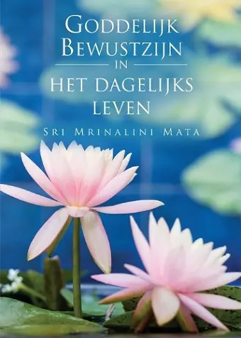 Manifesting Divine Consciousness (Dutch) cover