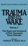 Trauma And Its Wake cover