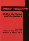 Brief Therapy cover