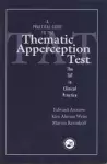 A Practical Guide to the Thematic Apperception Test cover