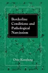 Borderline Conditions and Pathological Narcissism cover