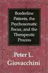 Borderline Patients, the Psychosomatic Focus, and the Therapeutic Process cover