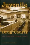 Juvenile Drug Courts and Teen Substance Abuse cover