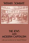 The Jews and Modern Capitalism cover