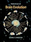 Brain Evolution cover