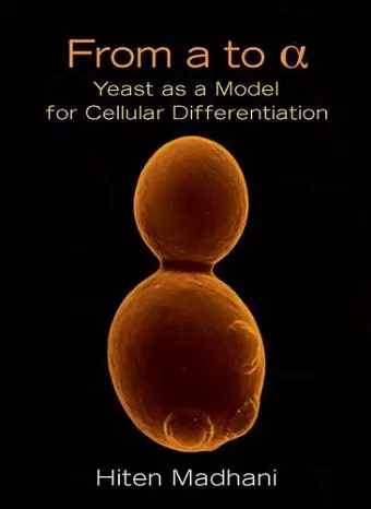 From a to Alpha cover
