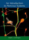 An Introduction to Nervous Systems cover