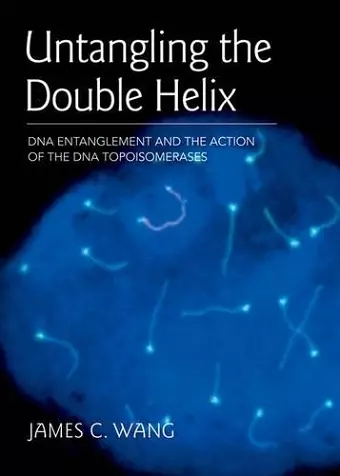 Untangling the Double Helix cover