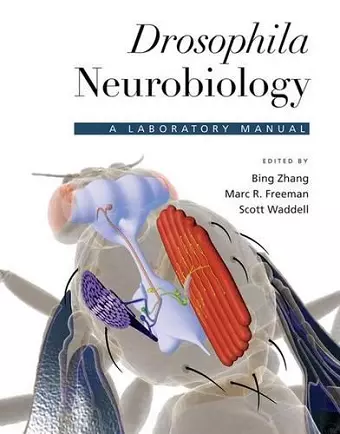 Drosophila Neurobiology cover