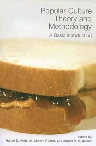 Popular Culture Theory and Methodology cover