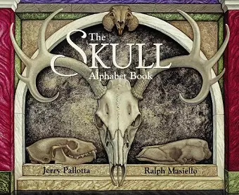 The Skull Alphabet Book cover