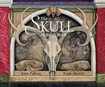 The Skull Alphabet Book cover